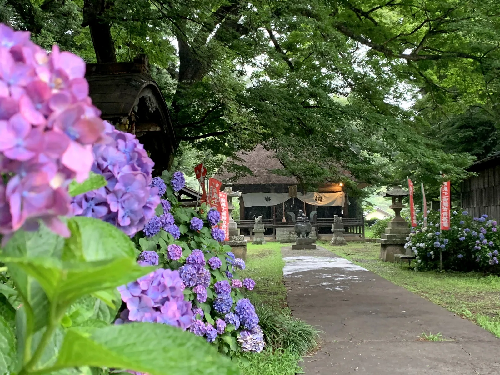 智識寺