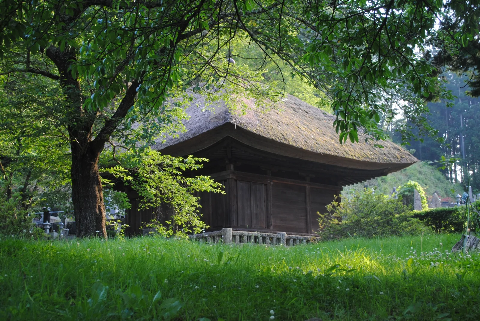 中禅寺