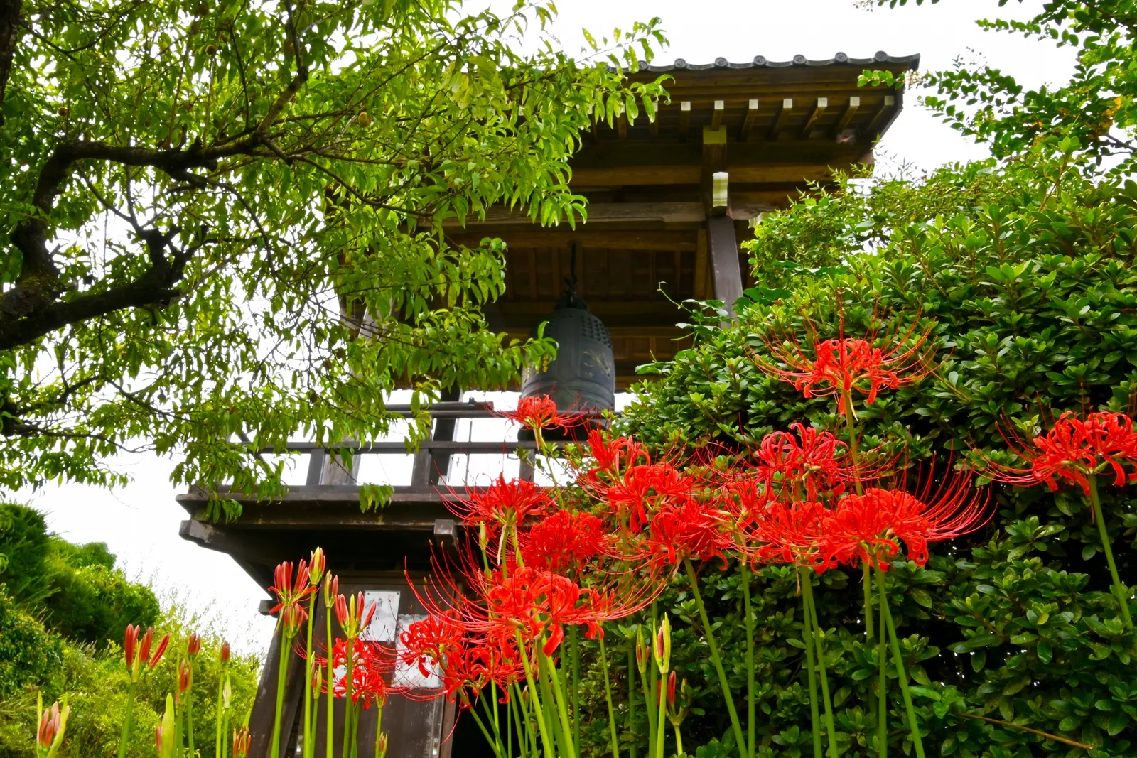 嶺岳寺