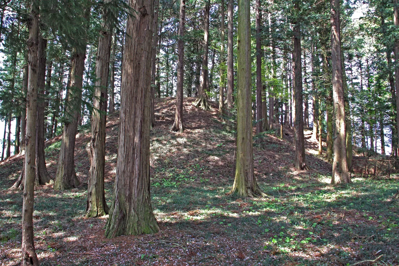 松島王墓古墳