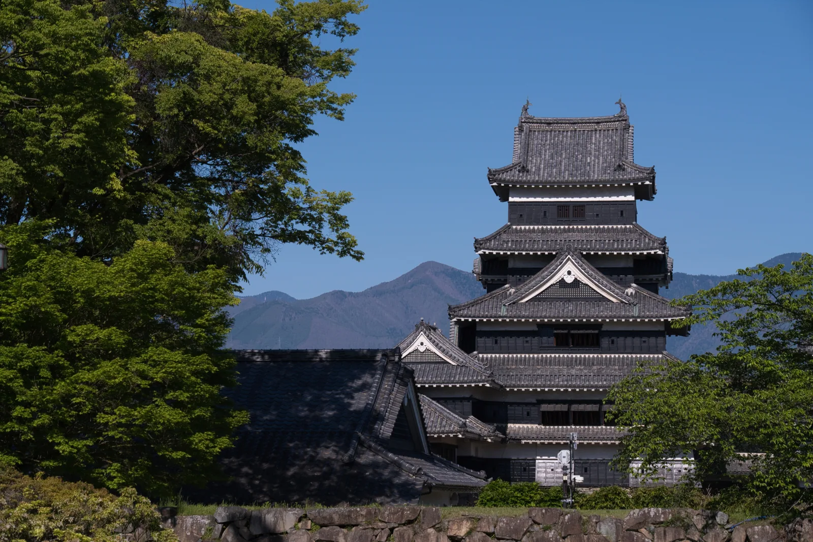 松本城公園