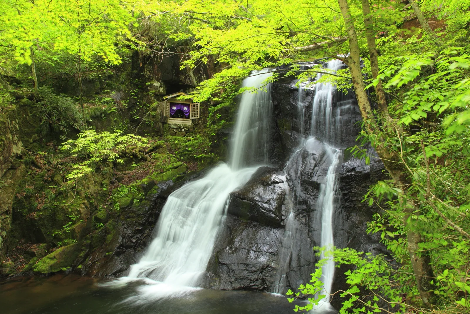 宇津江四十八滝(宇津江四十八滝県立自然公園)
