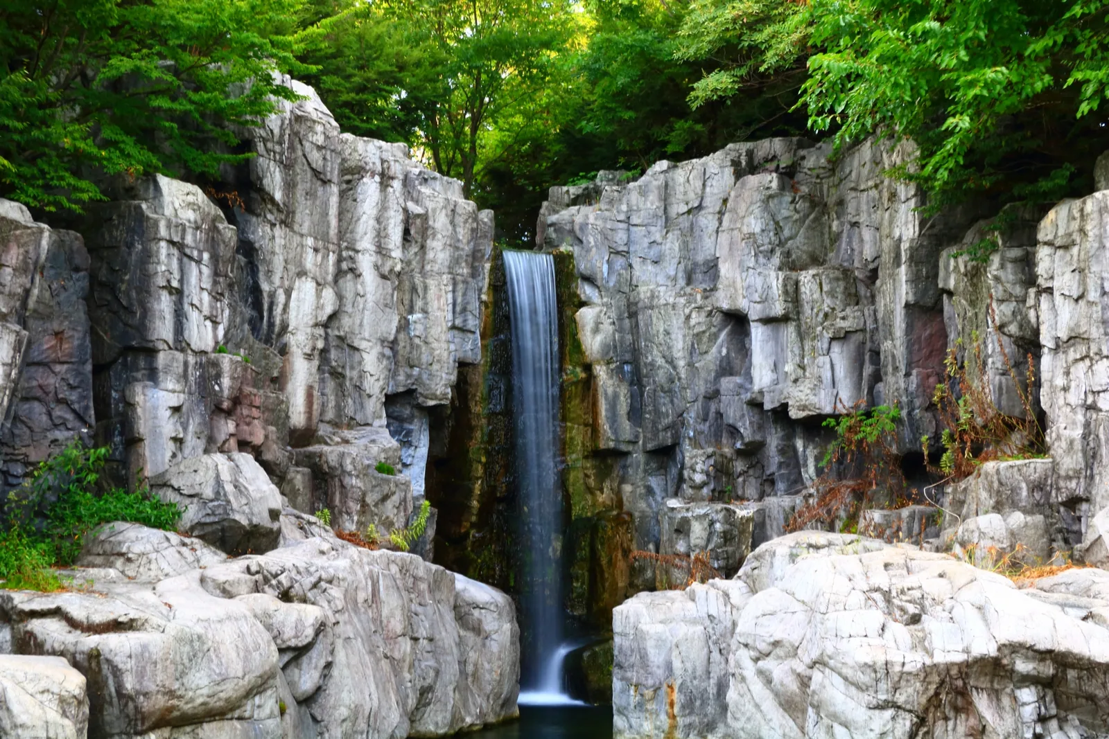 河川環境楽園 オアシスパーク