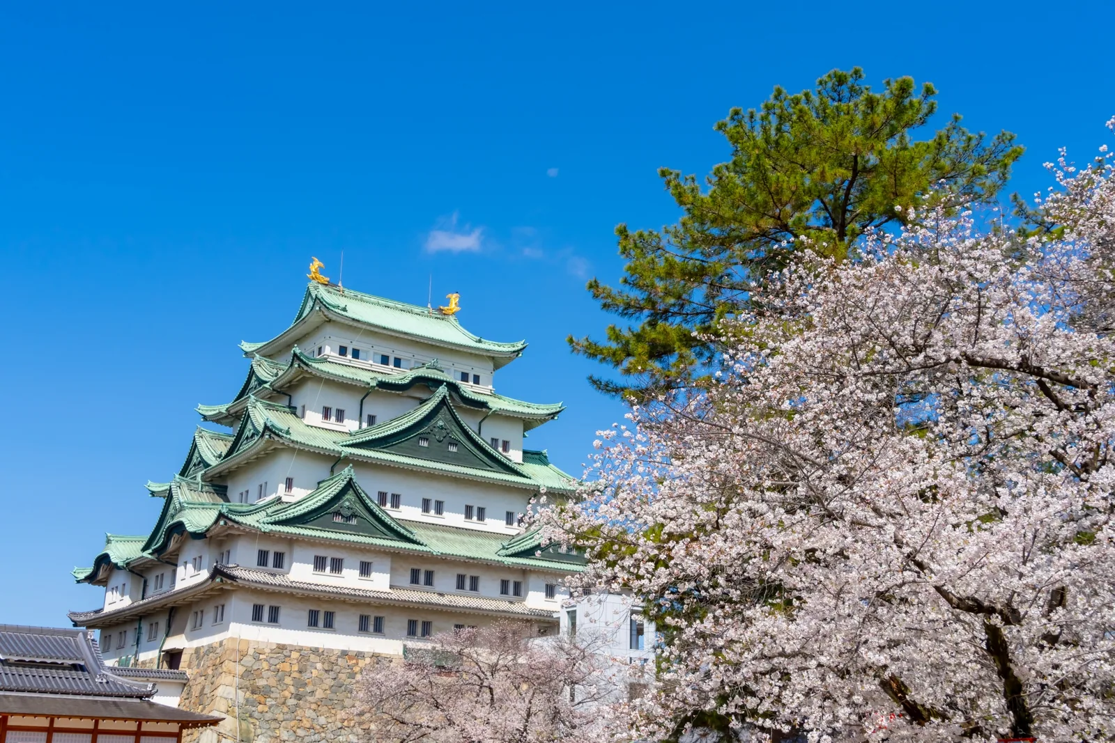 名古屋城