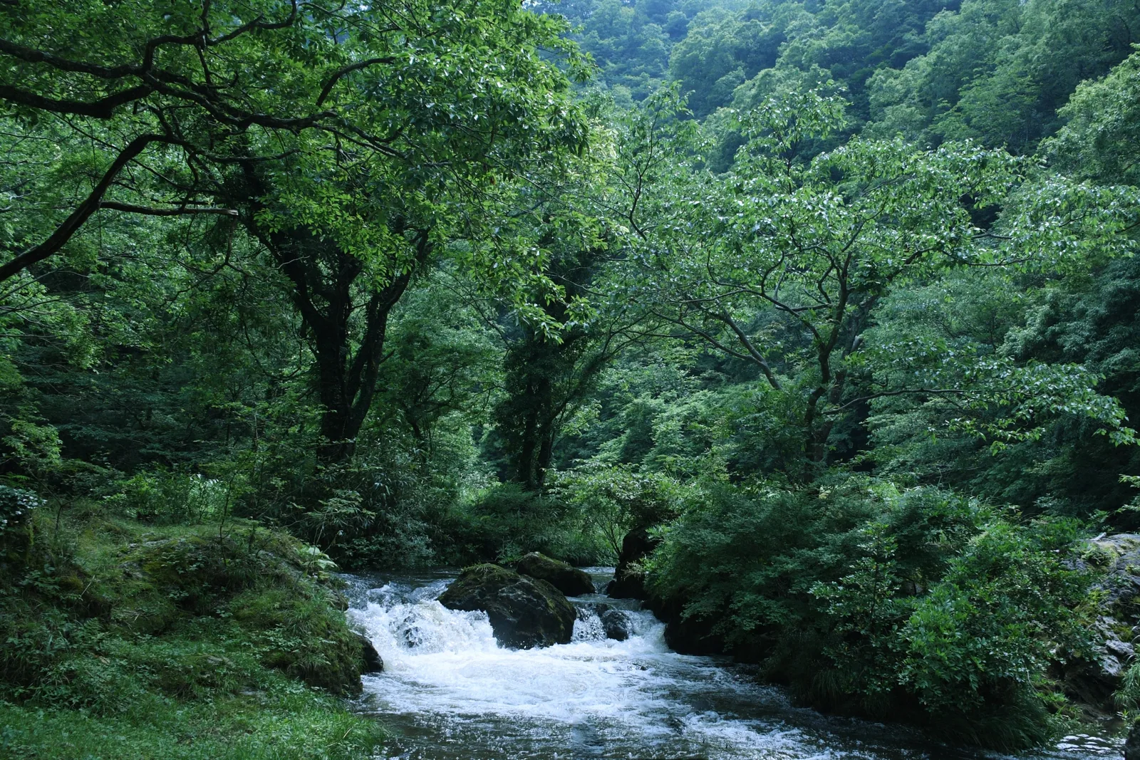 荒俣峡
