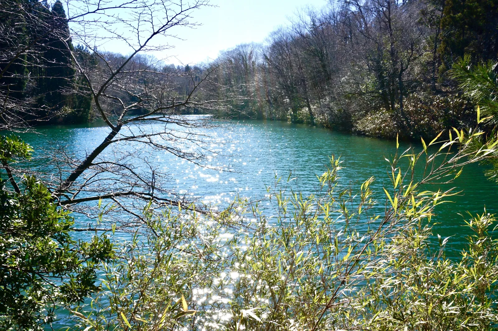 石川県森林公園