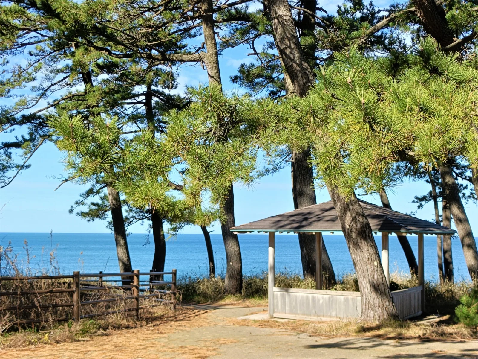 尼御前岬
