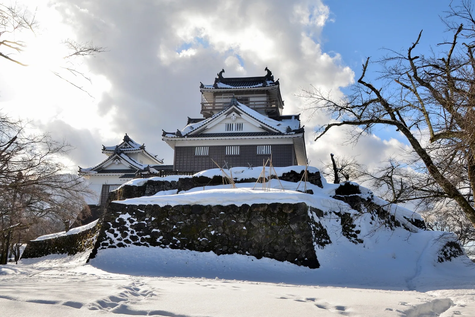 越前大野城