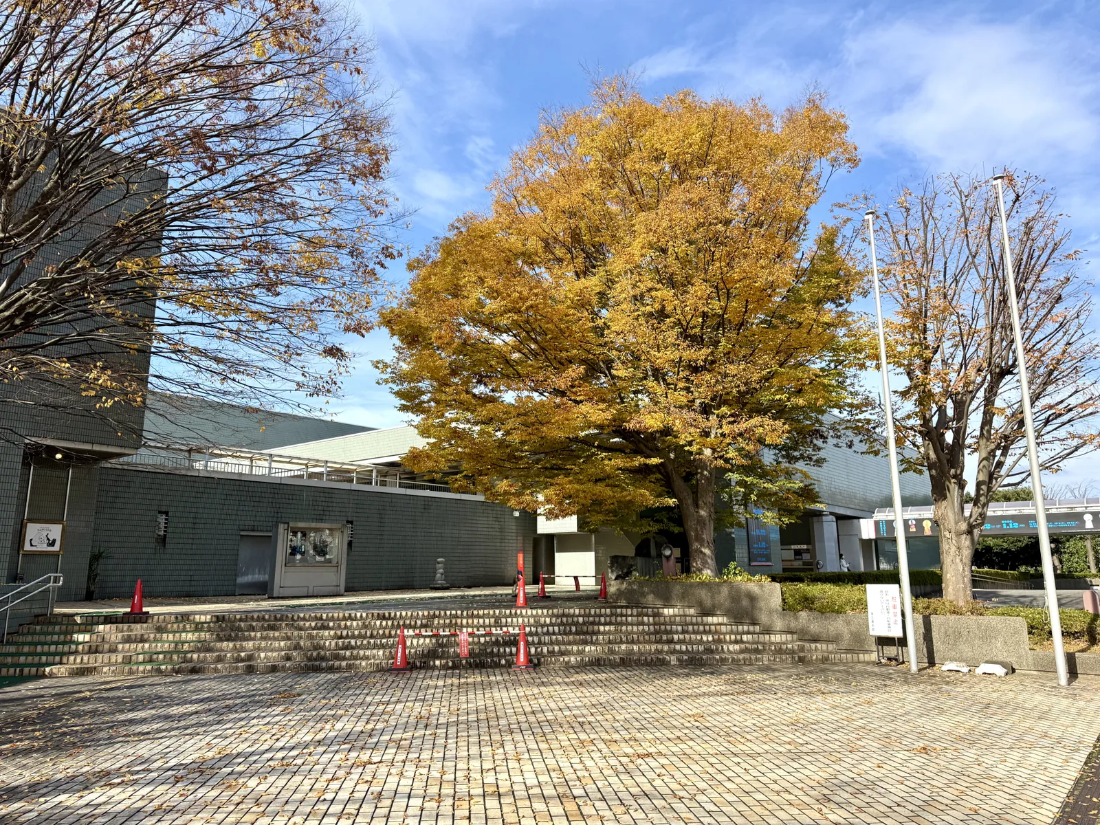 福井県立美術館