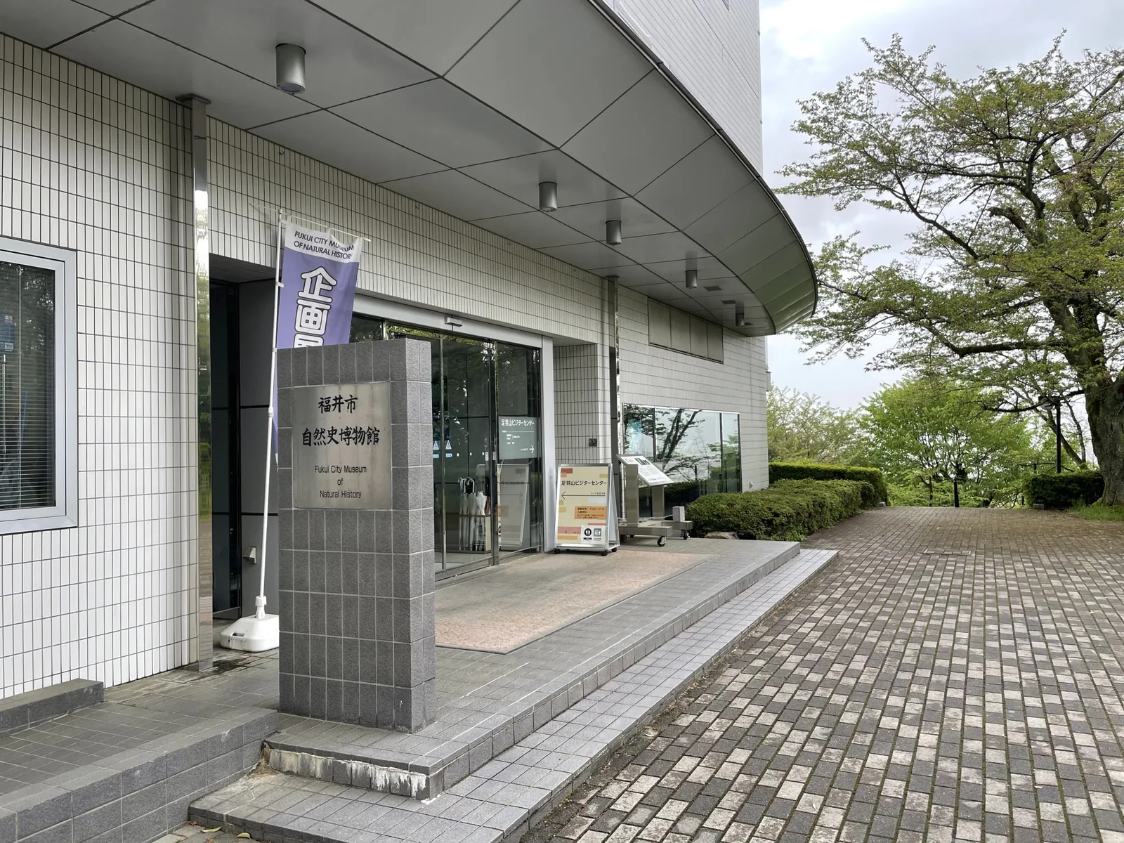 福井市自然史博物館
