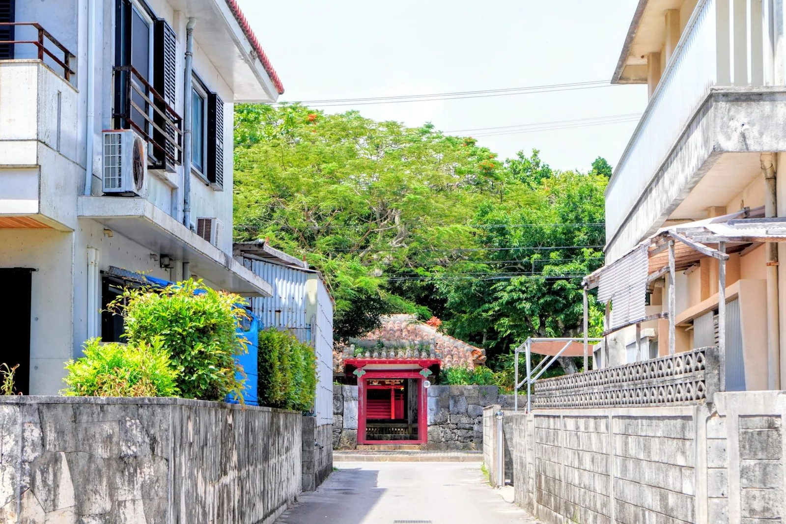 権現堂