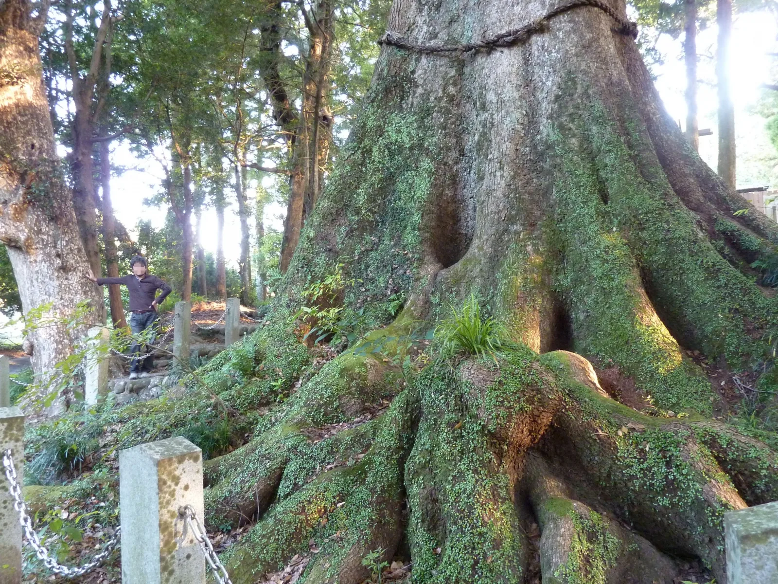 水屋神社