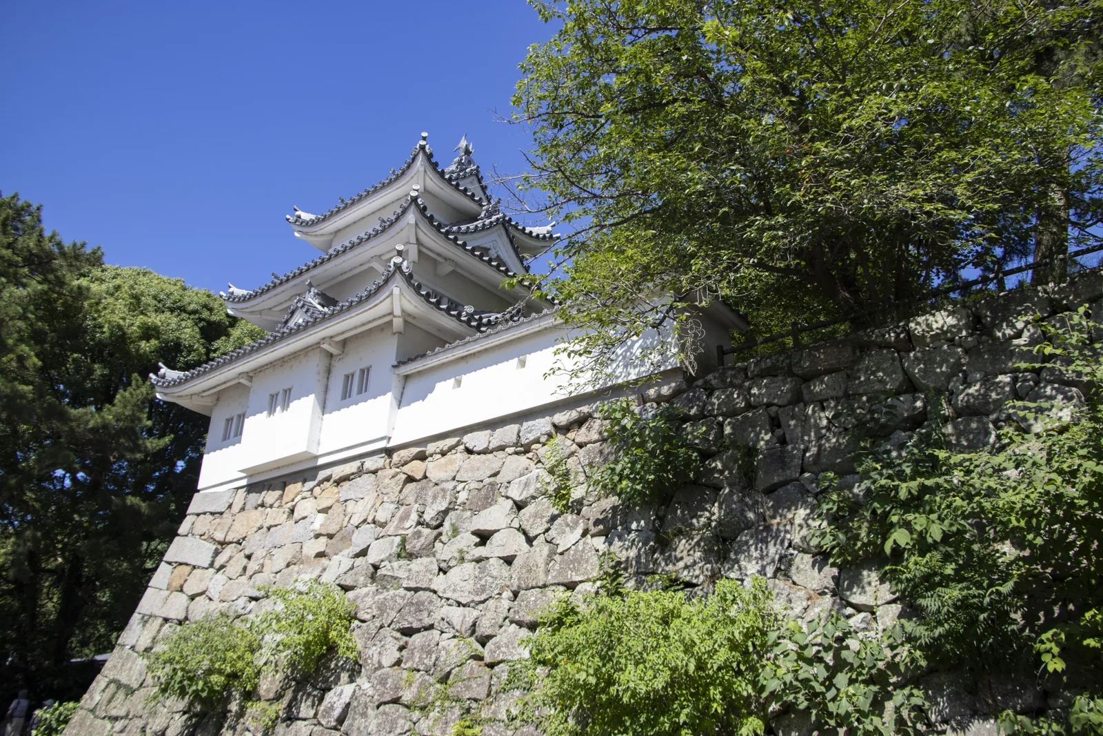 津城跡