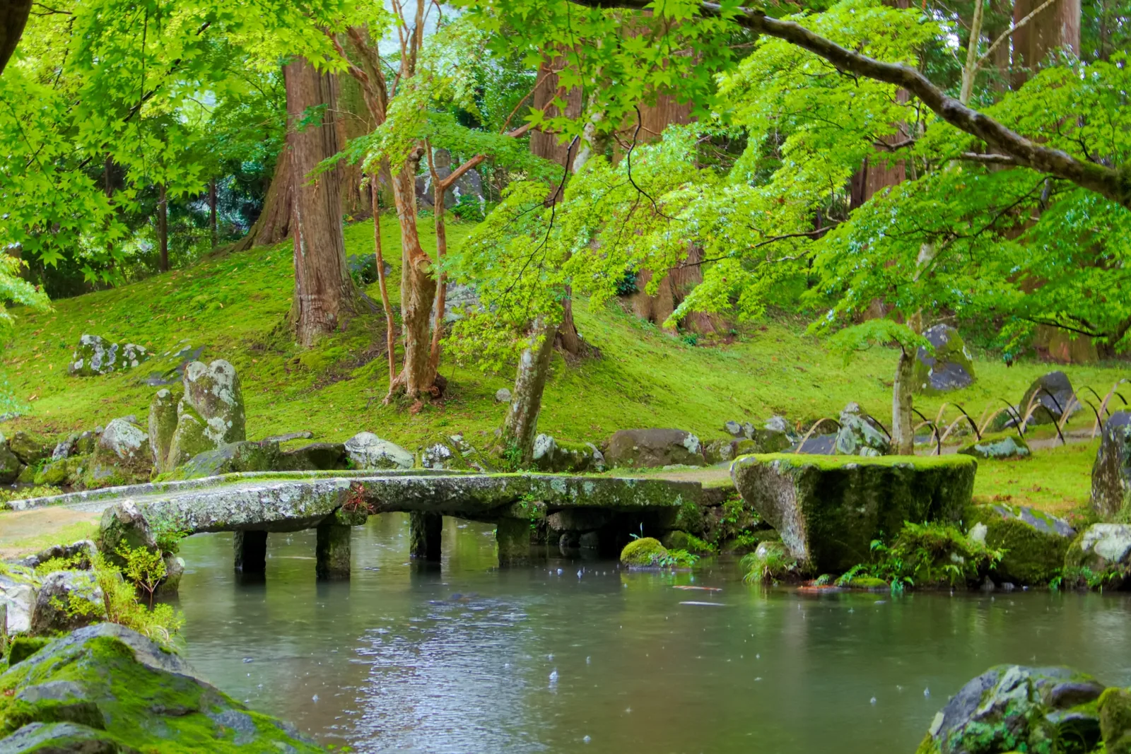 北畠神社・北畠氏館跡庭園