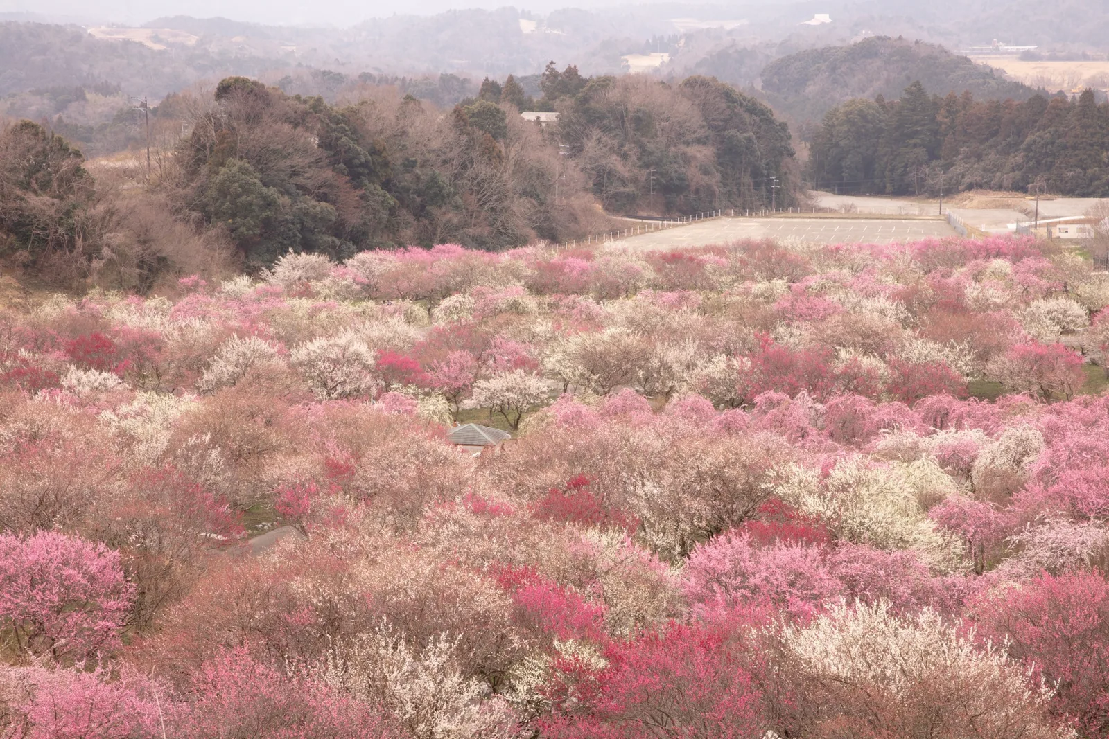 いなべ市農業公園