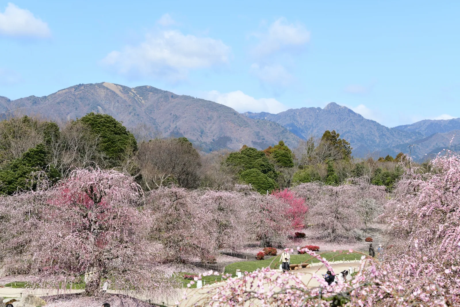 鈴鹿の森庭園