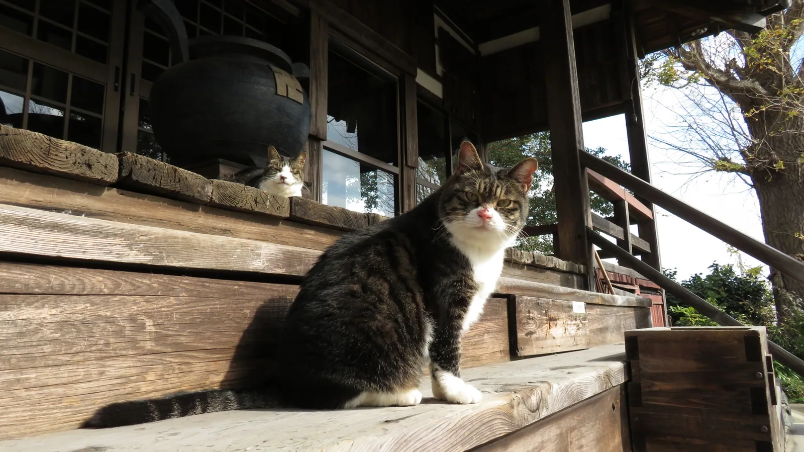 勧学寺