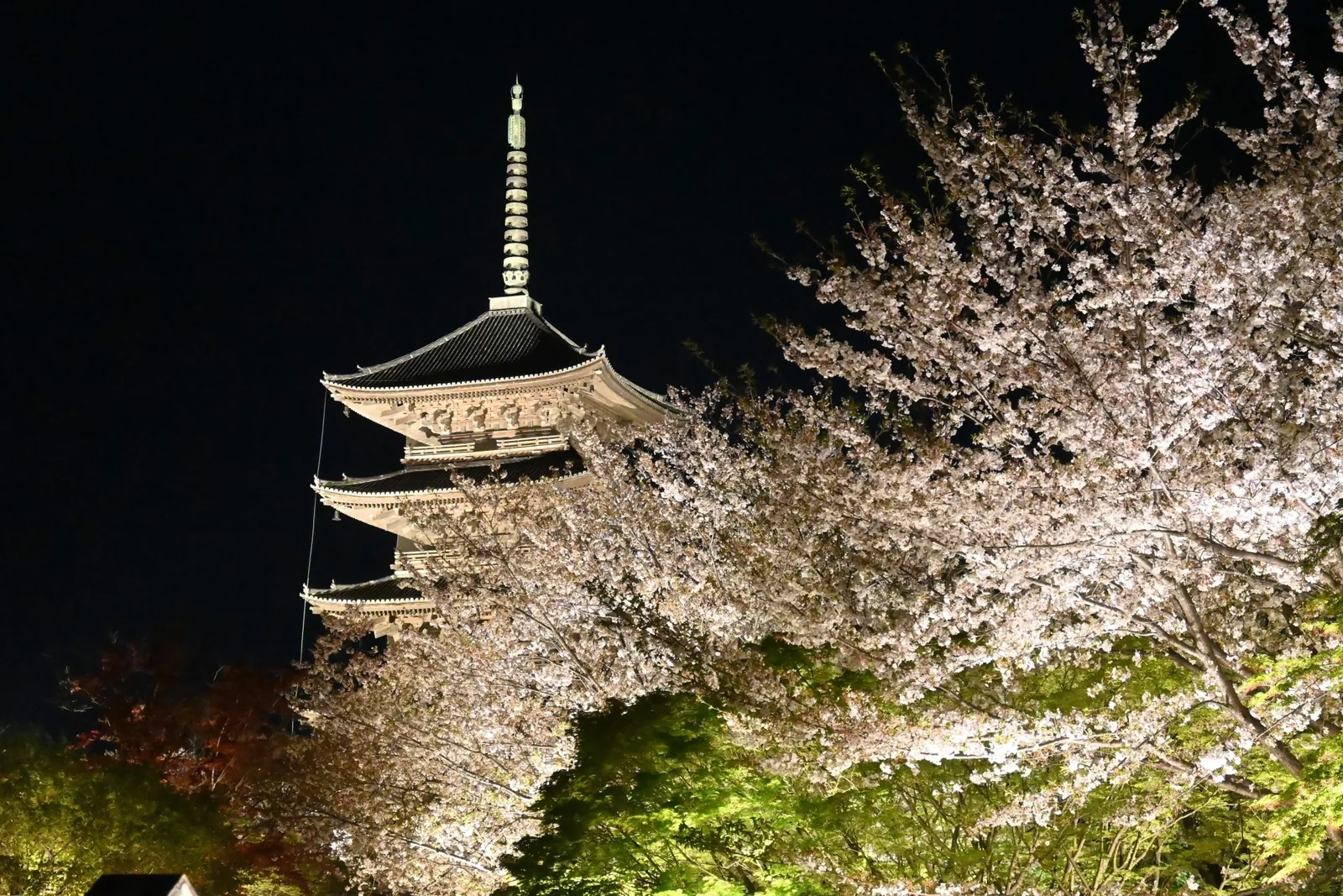 東寺(教王護国寺)
