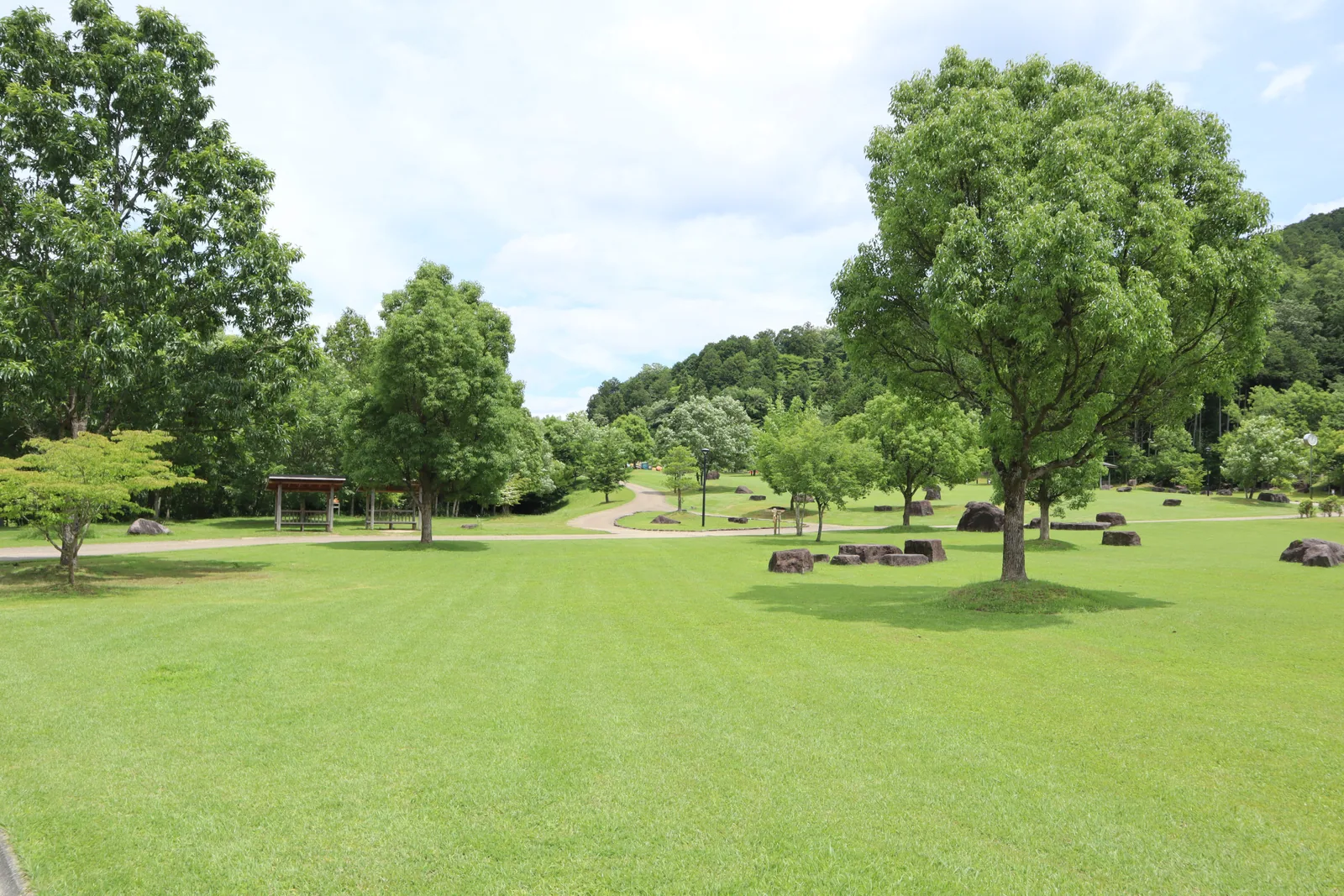 丹波並木道中央公園