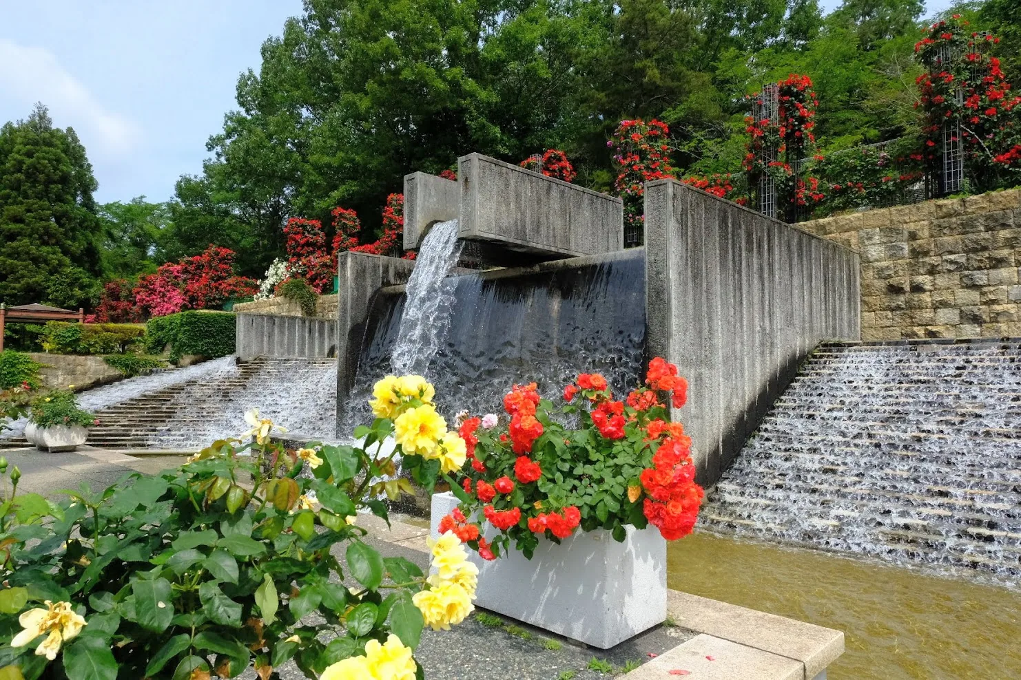 兵庫県立播磨中央公園