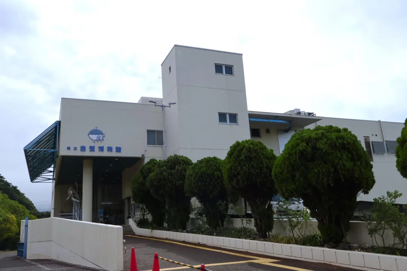 和歌山県立自然博物館