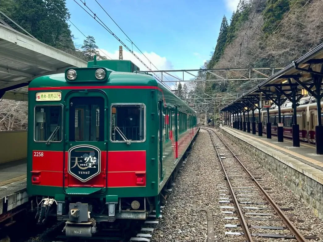 南海電鉄 こうや花鉄道「天空」