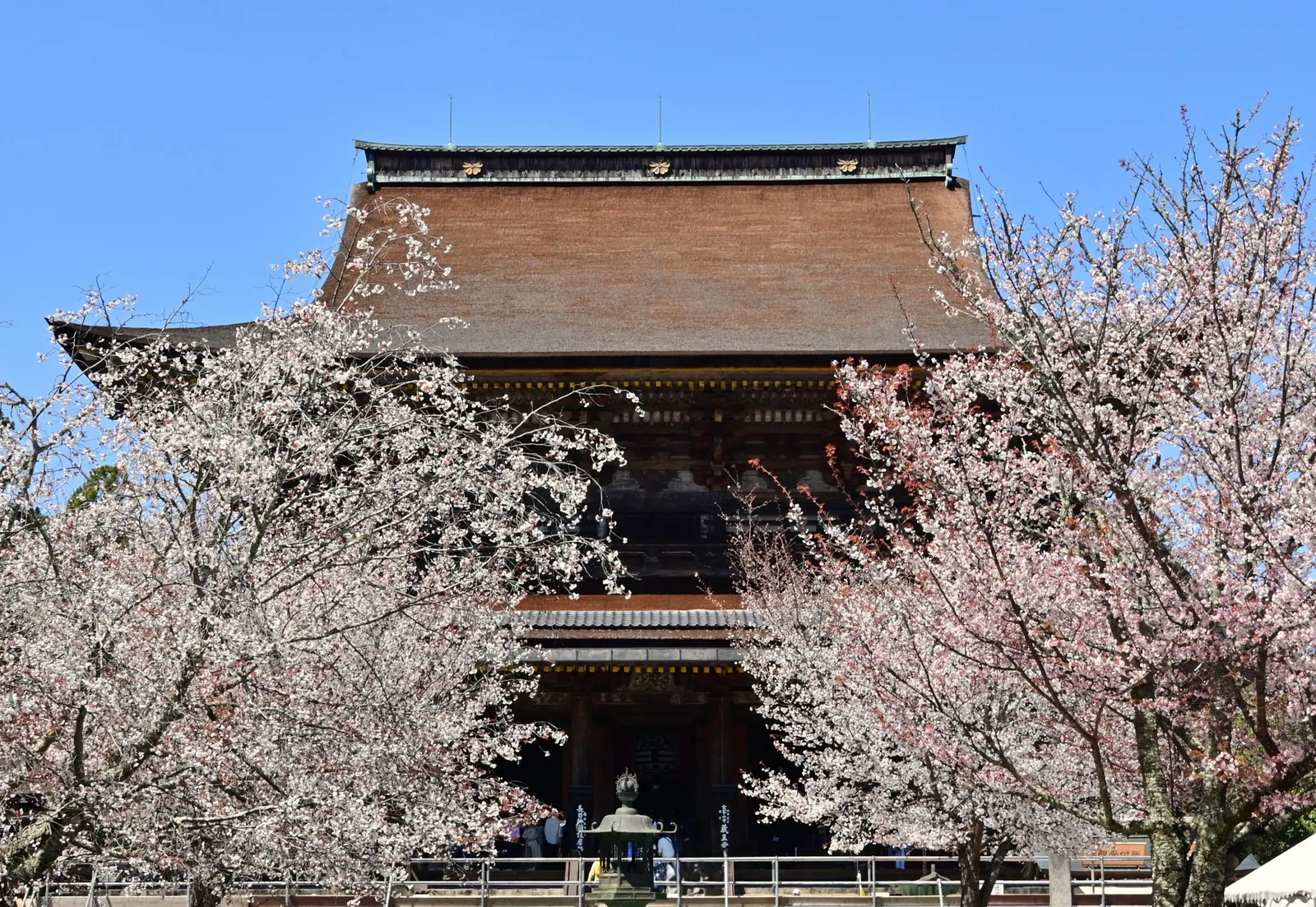 金峯山寺