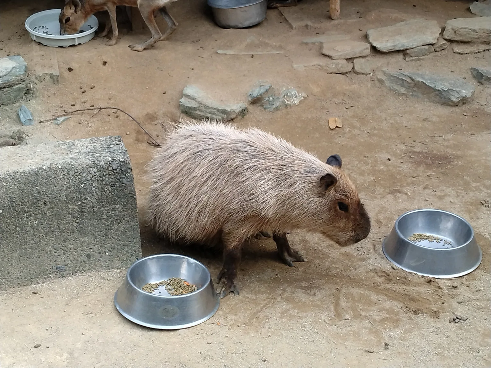 和歌山城公園動物園