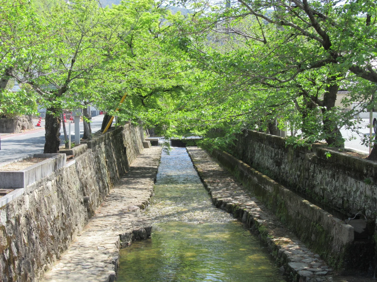 紺屋川美観地区