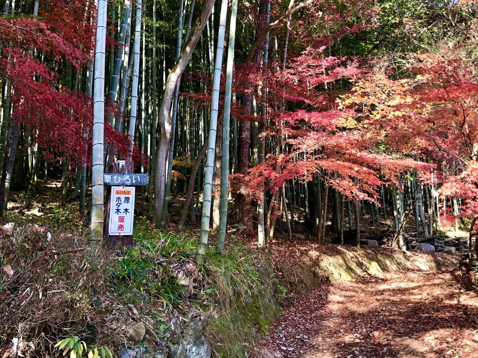 美作しいたけ園