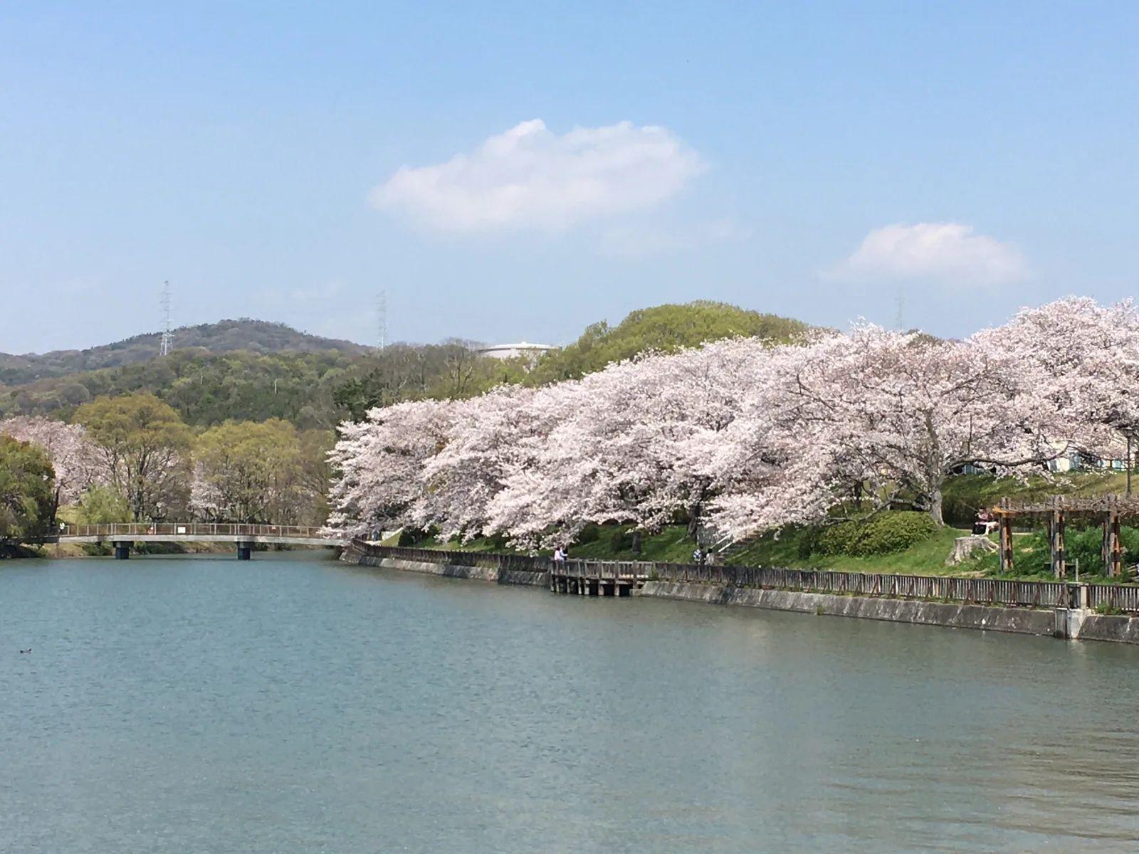 酒津公園