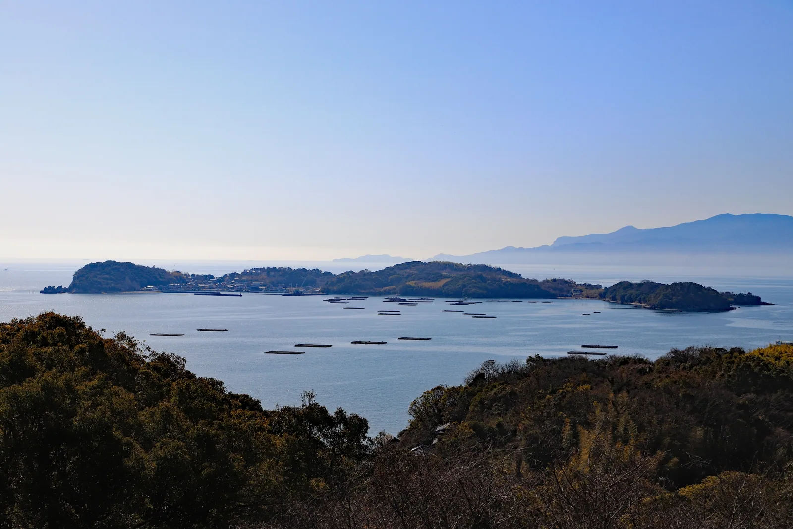 たぬき山展望台