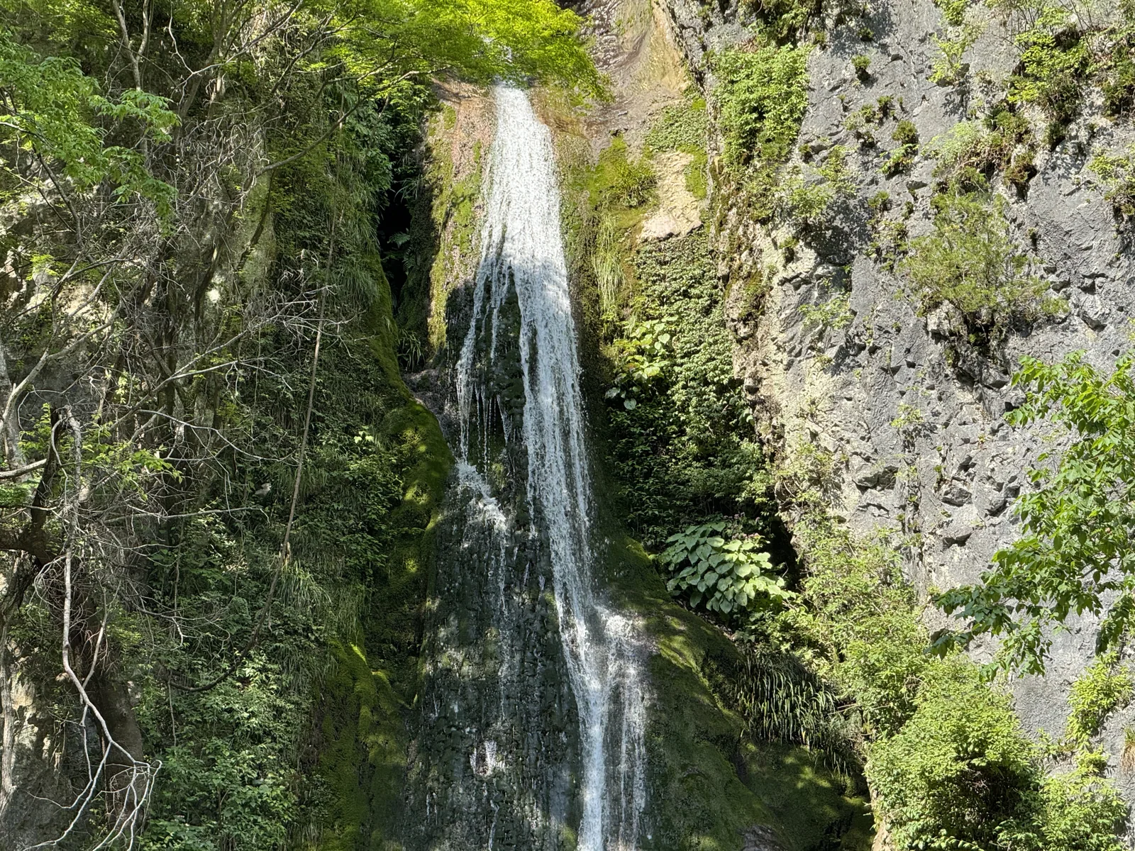 絹掛の滝