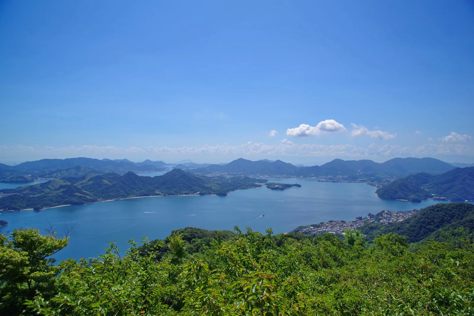 竜王山展望台