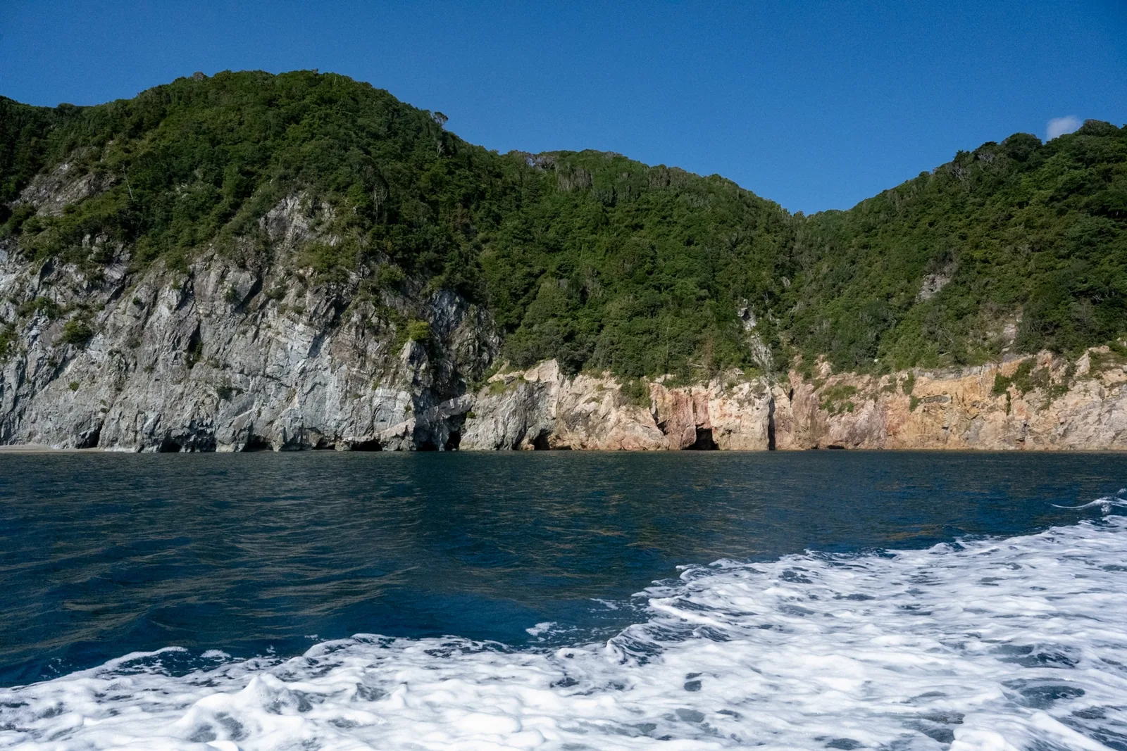 青海島観光汽船