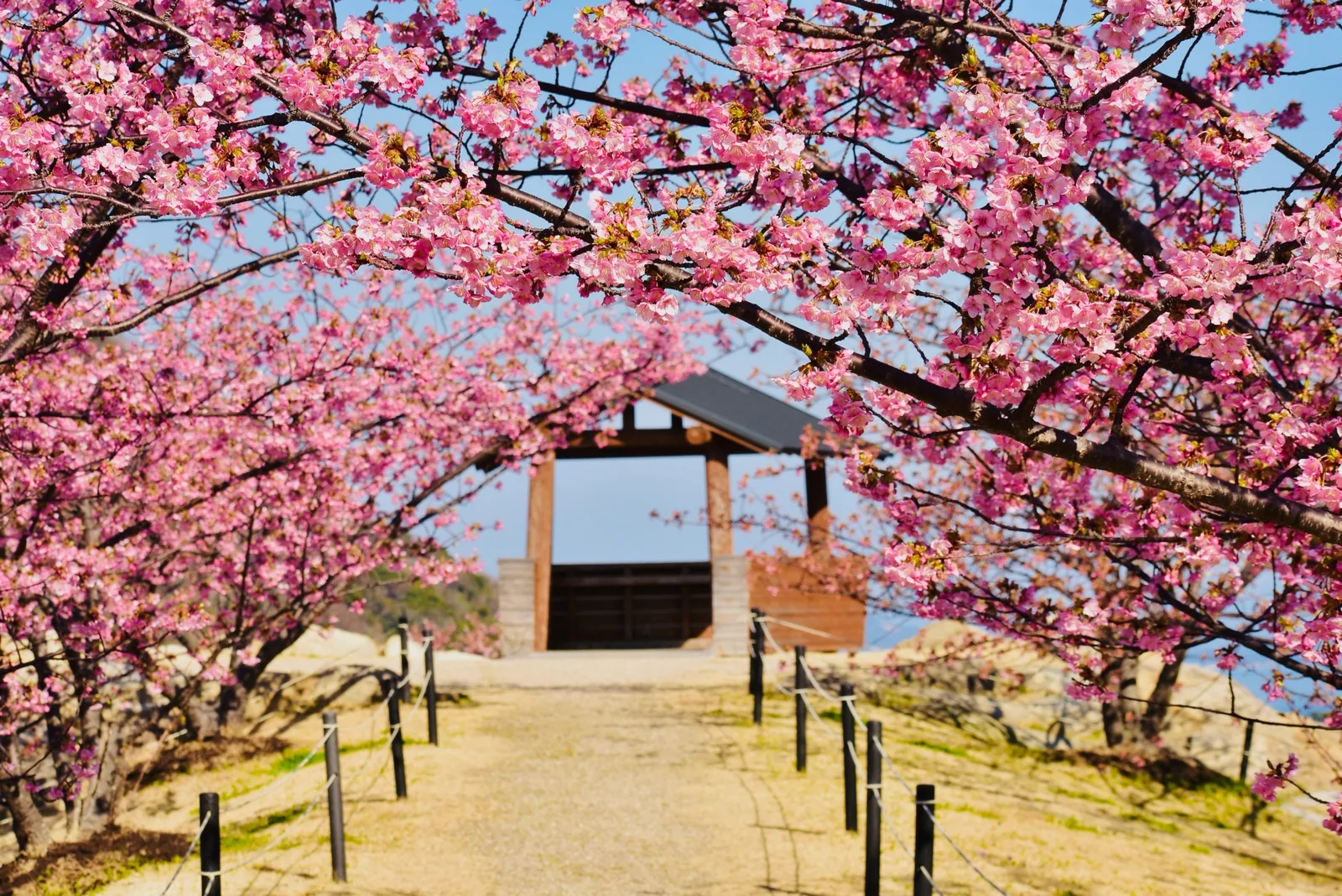 城山歴史公園