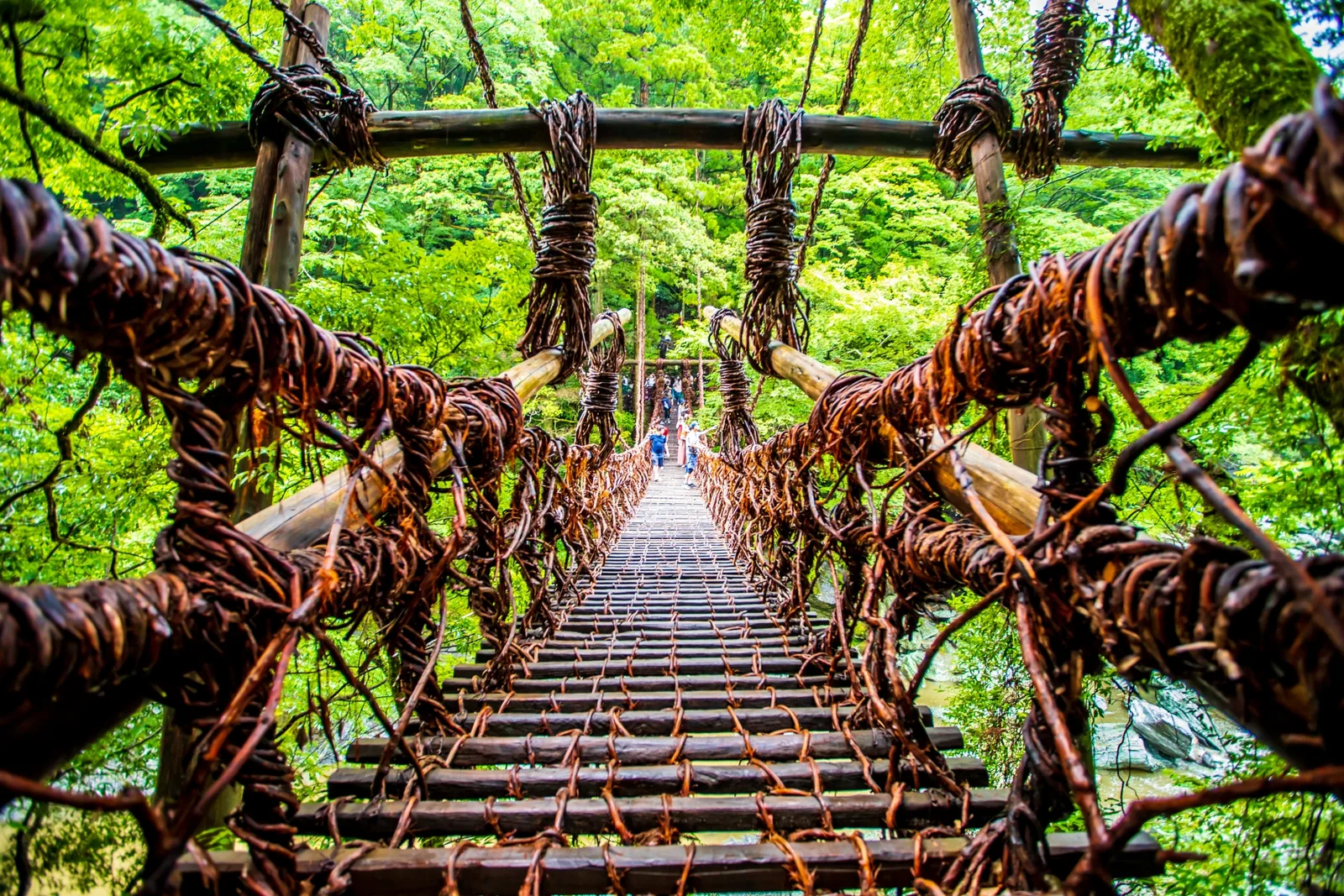 祖谷のかずら橋