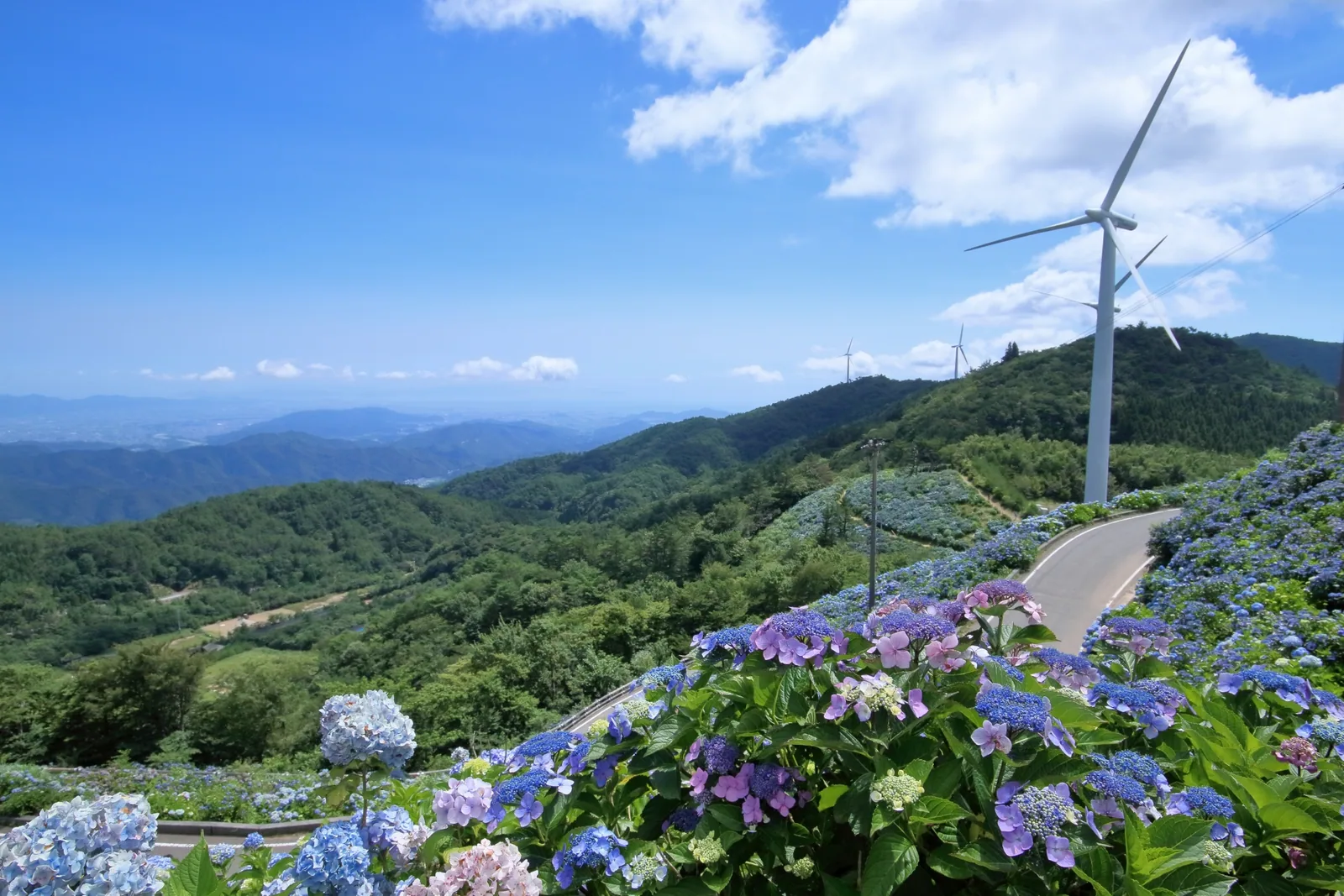 大川原高原