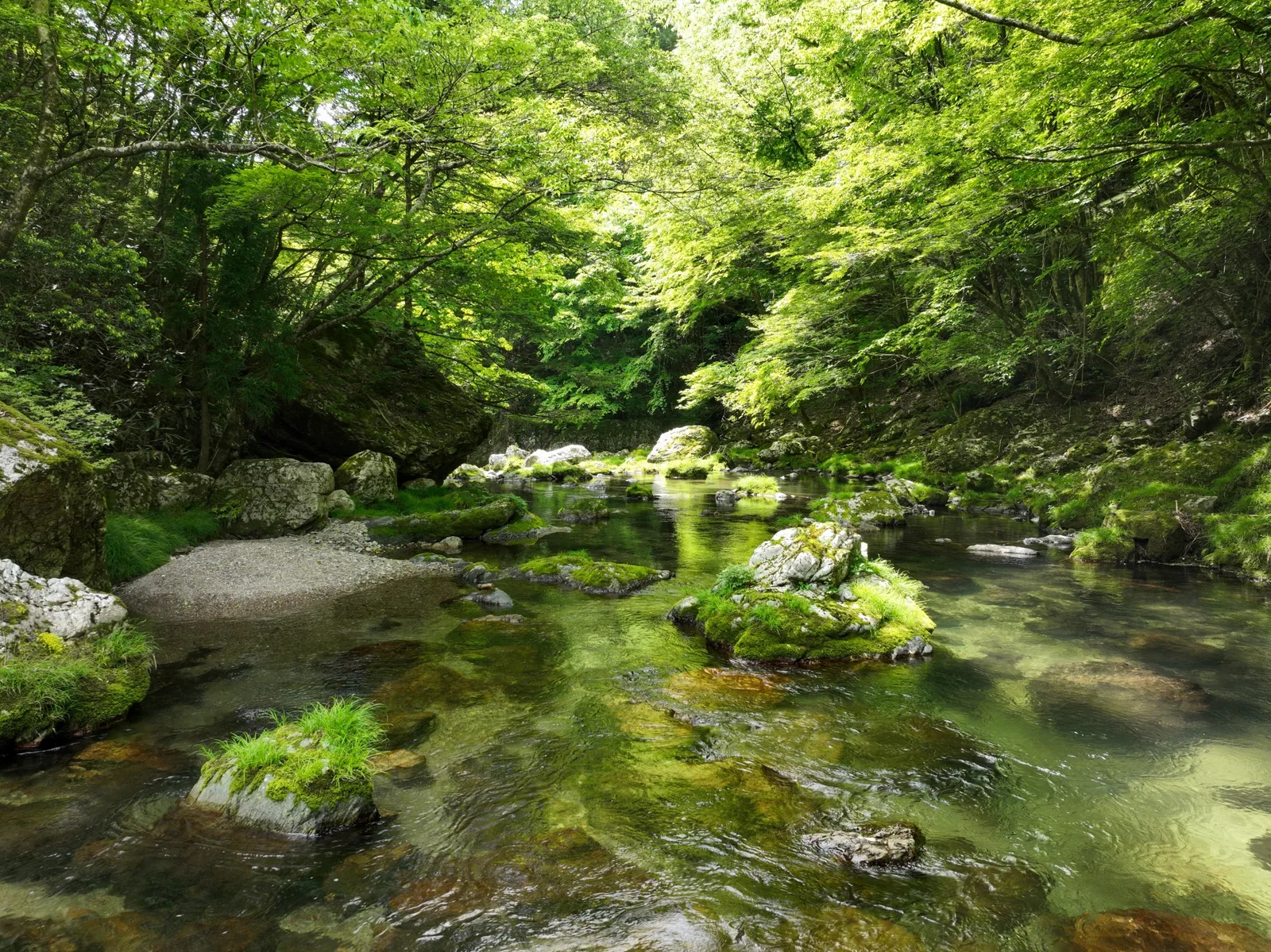 小田深山渓谷