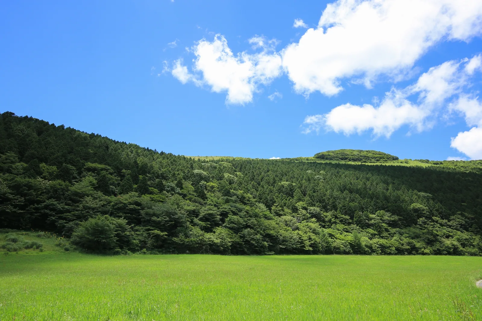大野ヶ原