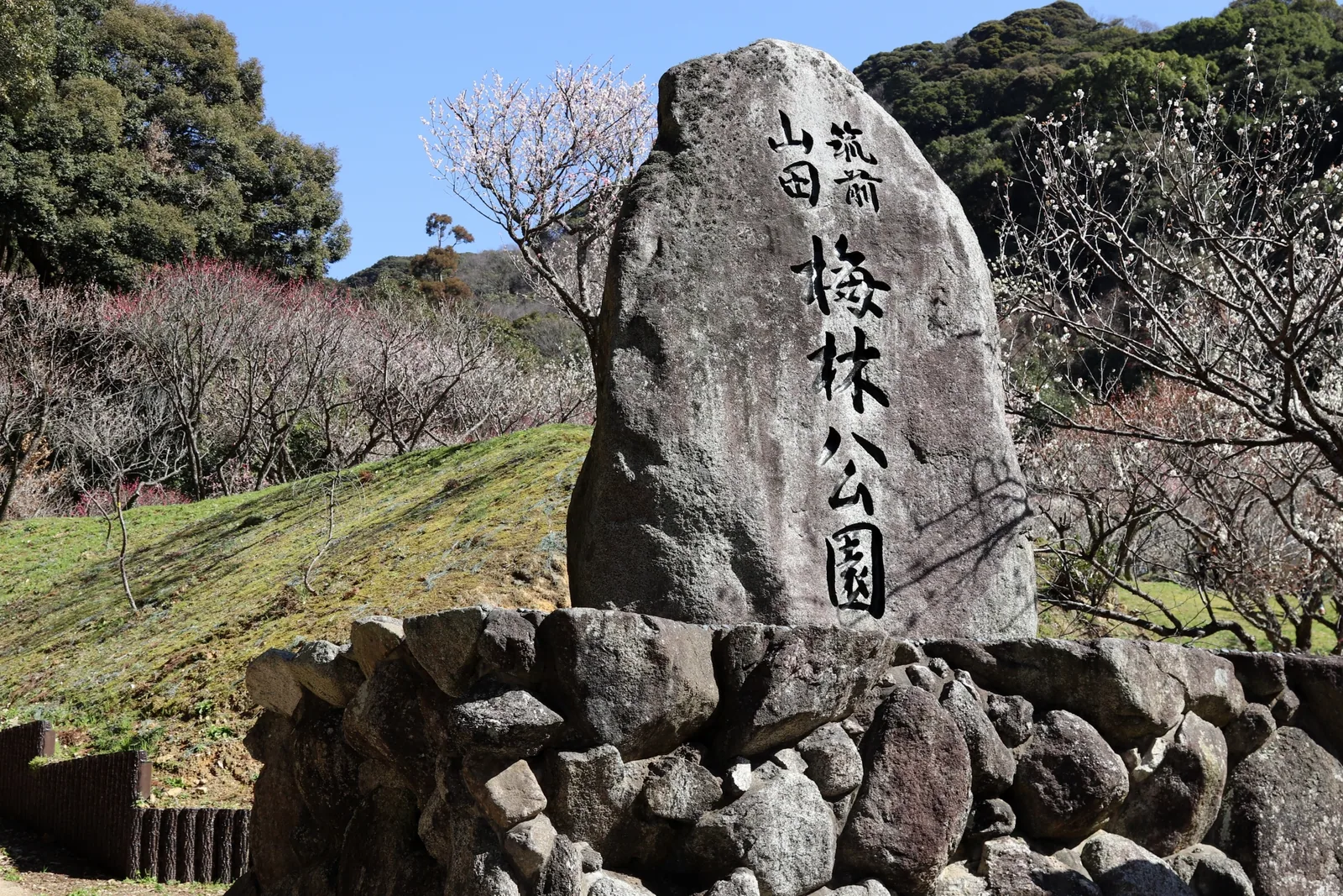 嘉麻市梅林公園