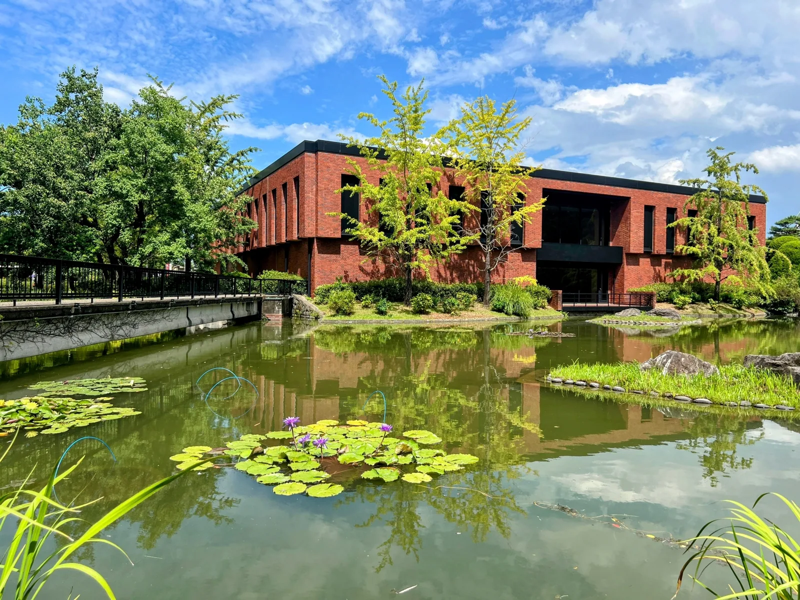 久留米市美術館