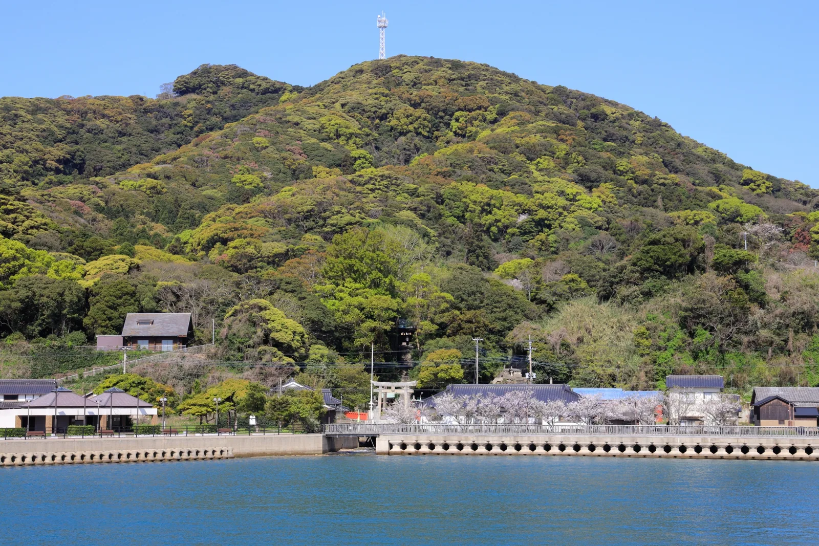 大島(宗像大島)