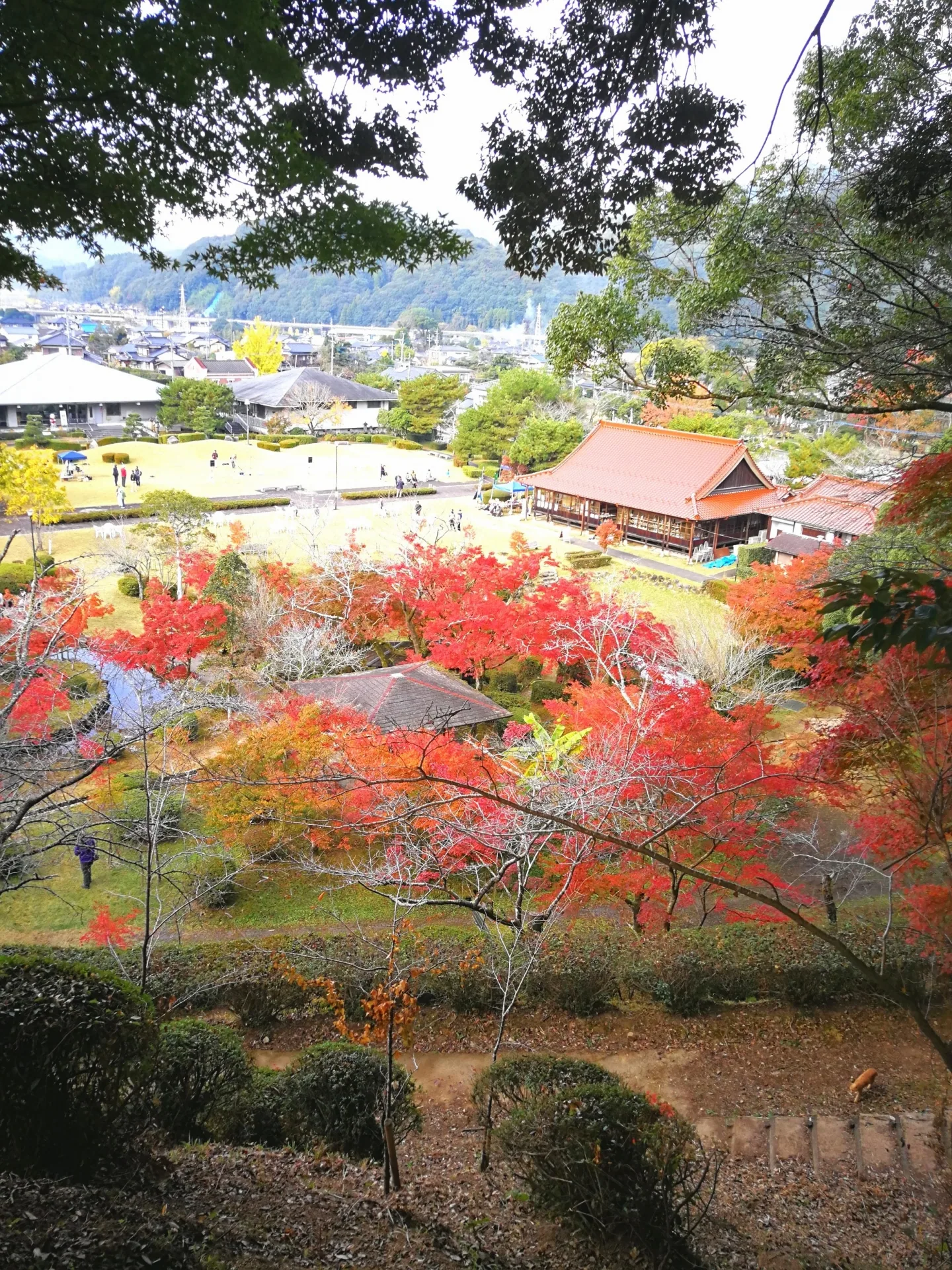西渓公園
