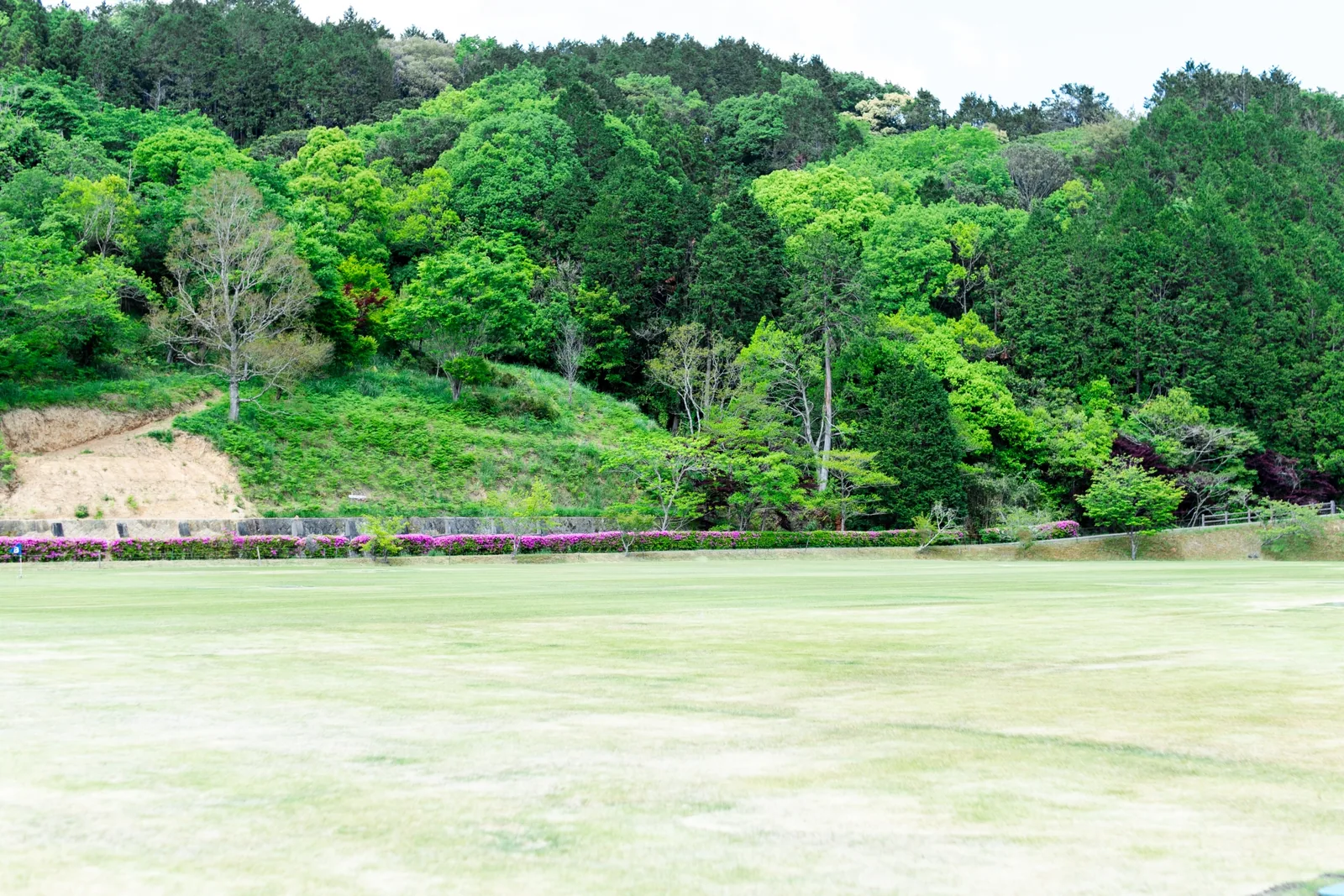 嬉野総合運動公園（みゆき公園）