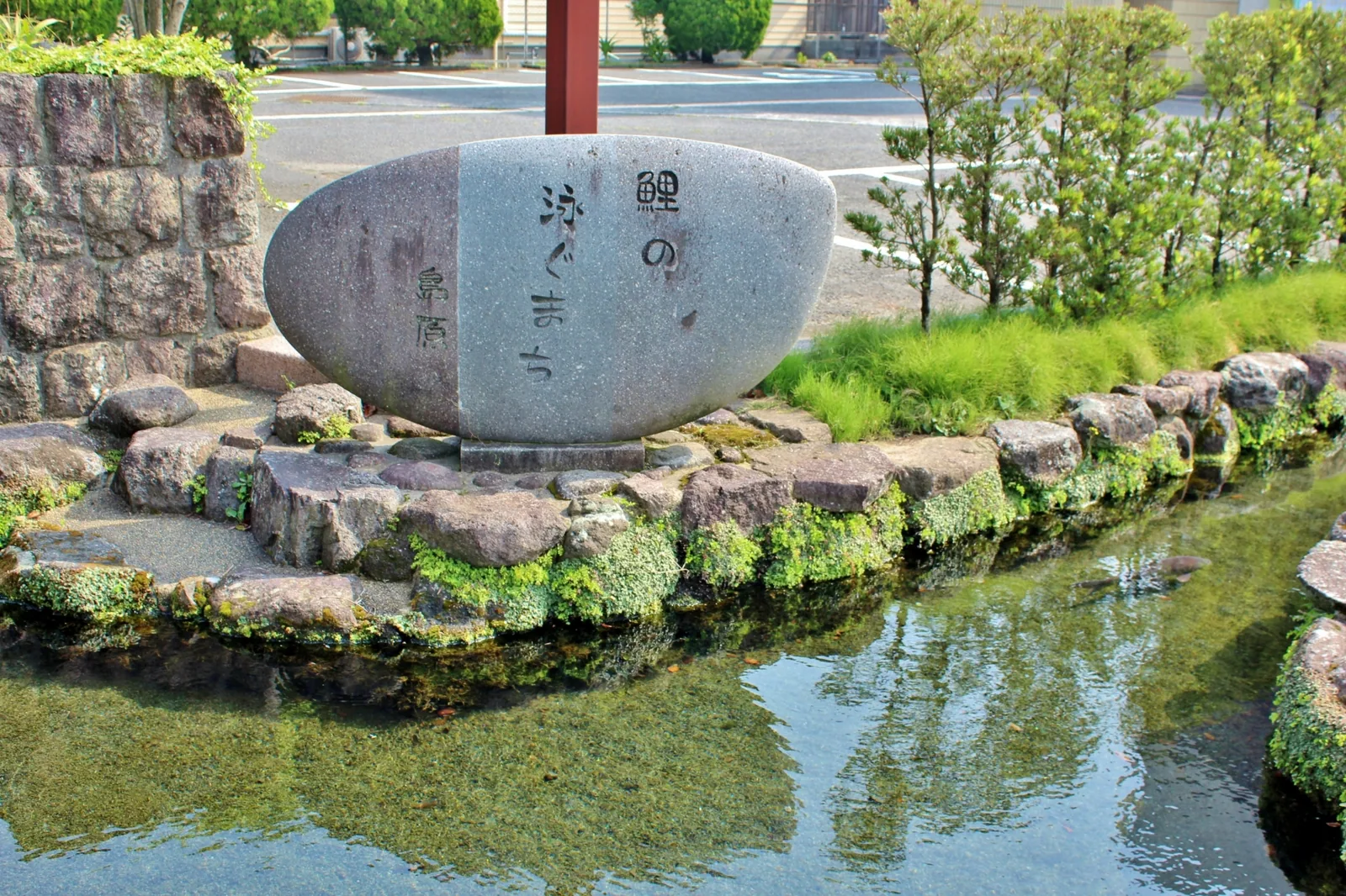 鯉の泳ぐまち