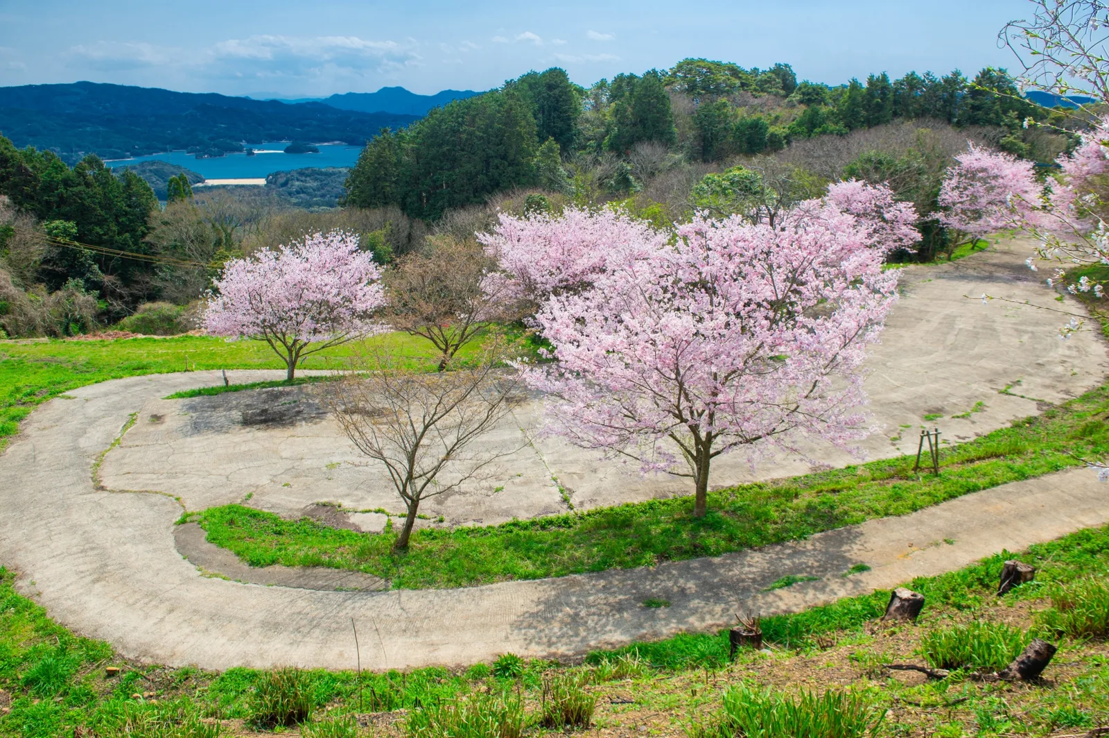 大山展望所