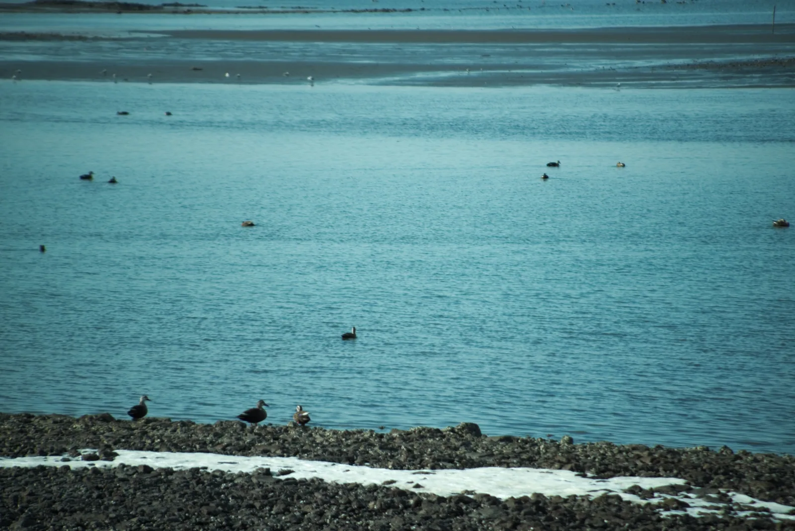 宇佐市和間海浜公園