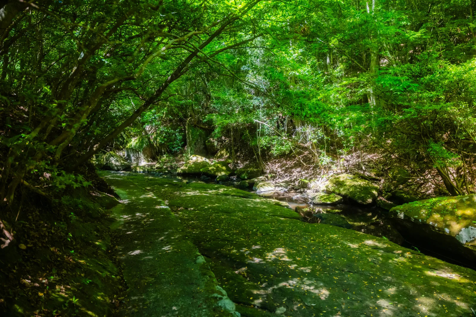 岳切渓谷