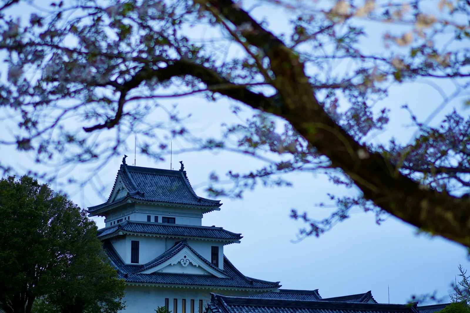 天ヶ城公園